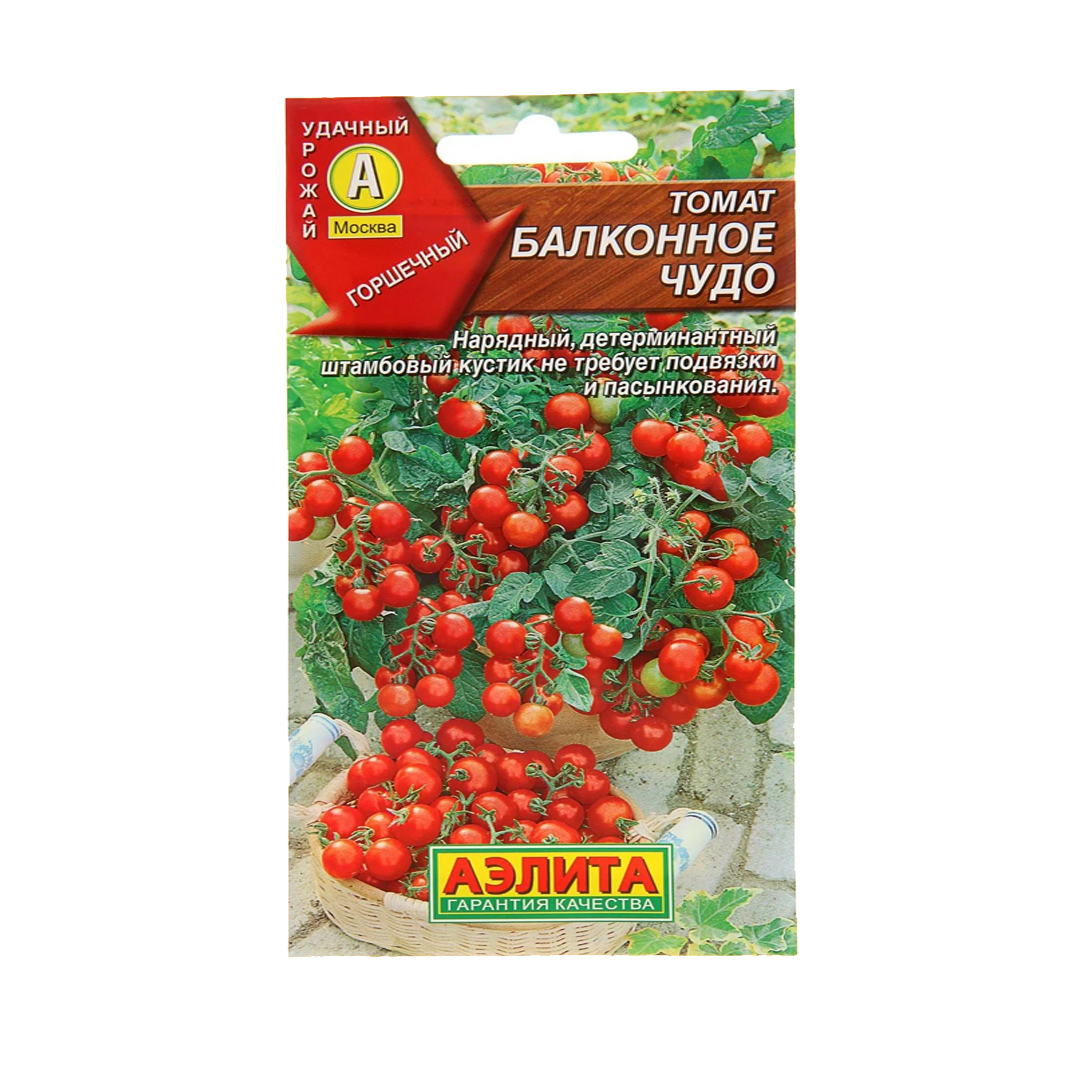 Томат черри балконное чудо. Балконное чудо. Томат балконный. Томат балконное чудо Марс. Томат балконное чудо отзывы.